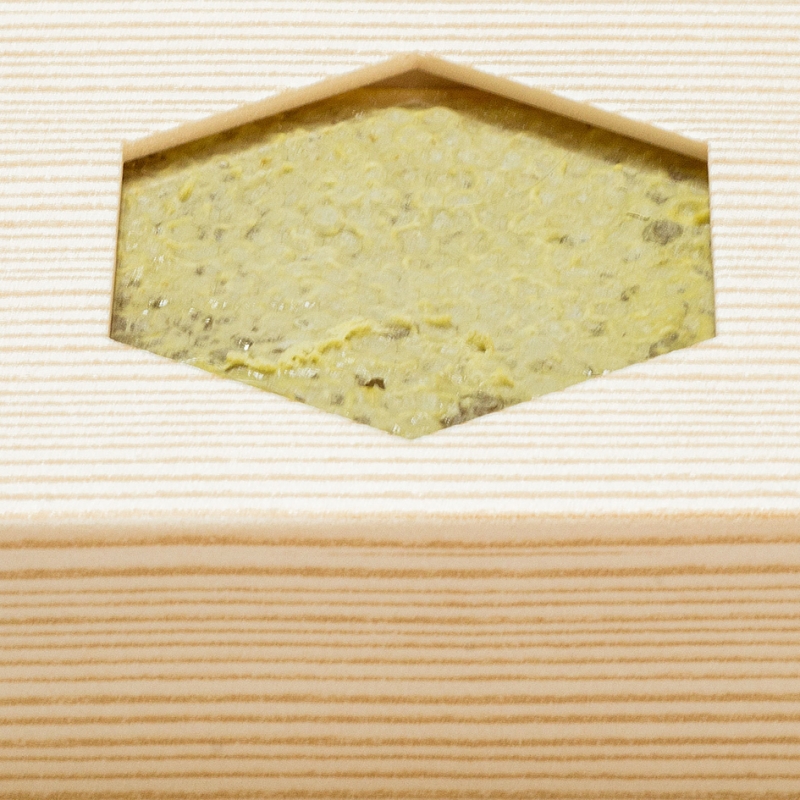 巣蜜 コムハニー(340g)