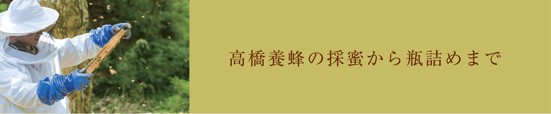 採蜜から瓶詰めまで